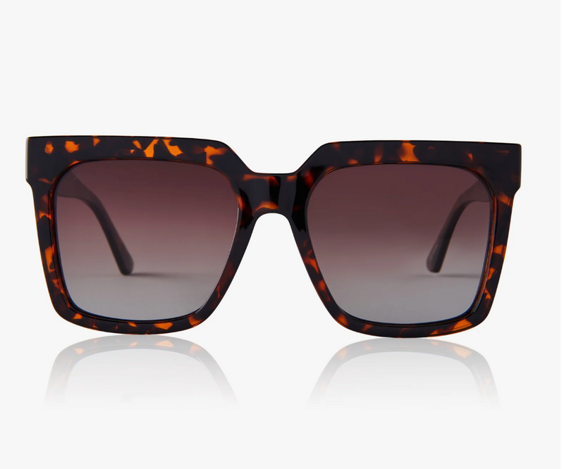 Dime polarized sunglasses- Topanga Tortoise