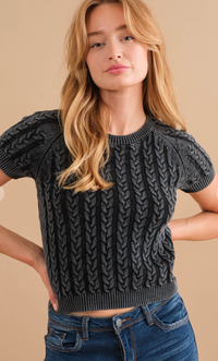 Sparkler Cable Knit Short Sleeve Top