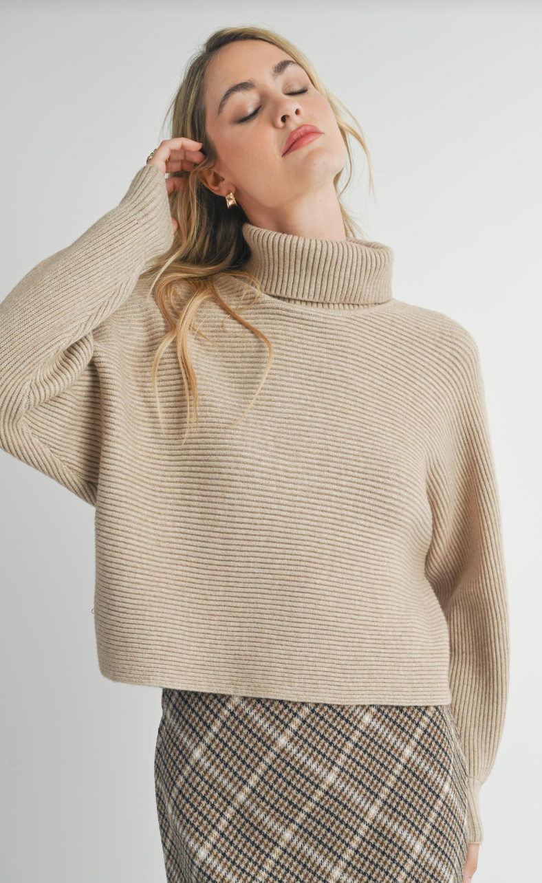 Anya Turtleneck Sweater