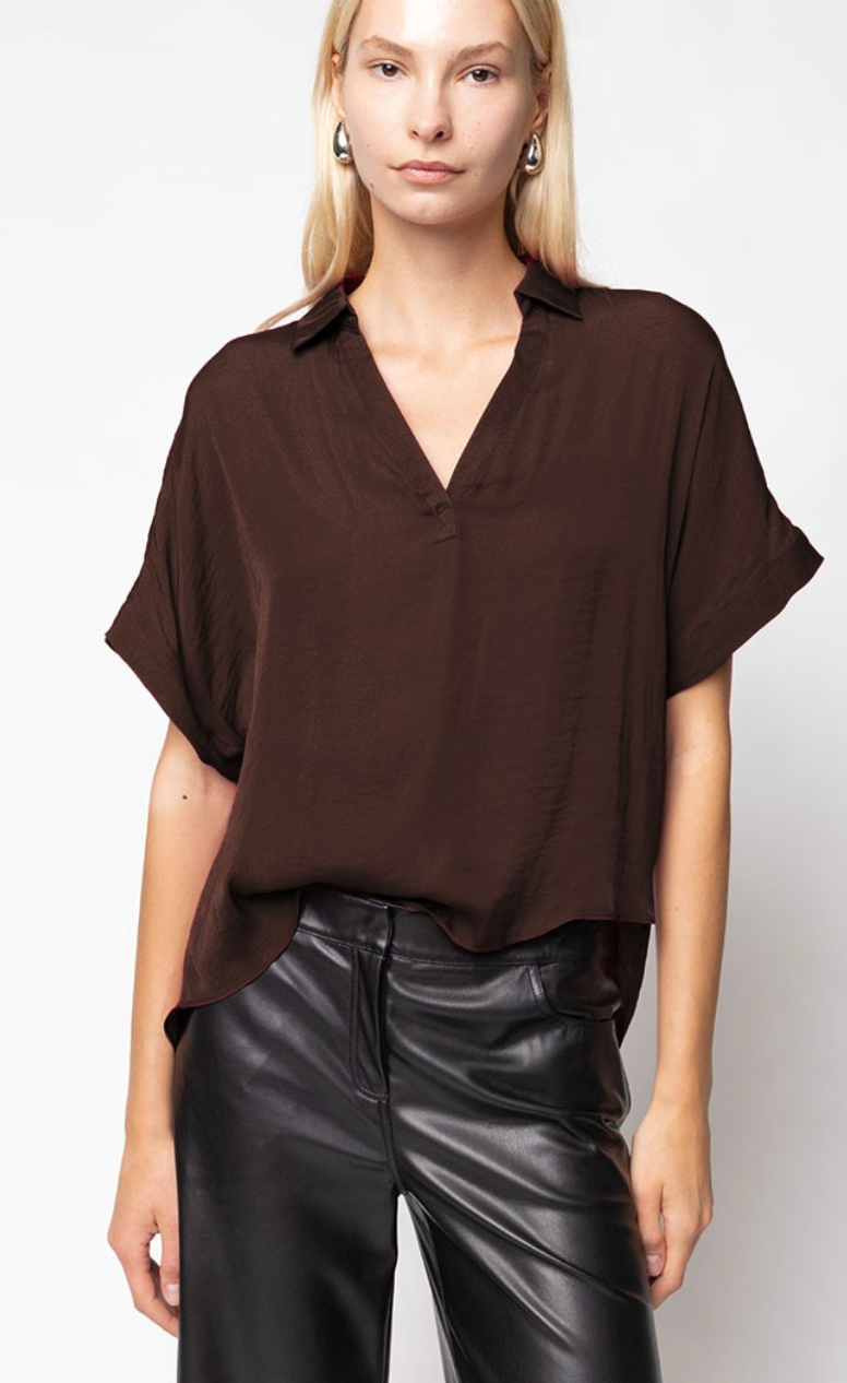 Joy Satin Collared Blouse - Brown