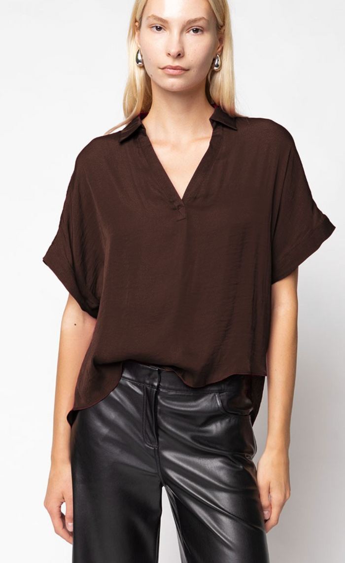 Joy Satin Collared Blouse - Brown