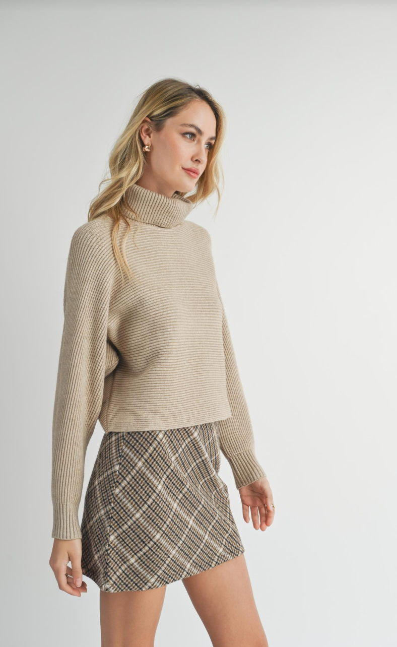 Anya Turtleneck Sweater