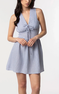 Garden Sun Mini Dress